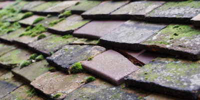 Oaklands roof repair costs